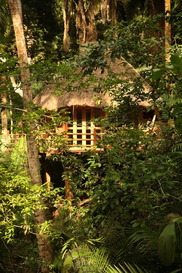Aldea Bamboo Village San Francisco  Zewnętrze zdjęcie